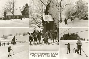 01773 Schellerhau, Place for winter sports b/w