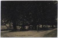 24236 Dersau, village place b/w, ca. 1917