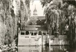 01877 Bischofswerda, M�hlteich and Schillerpark b/w