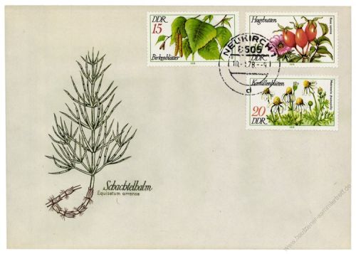 DDR 1978 FDC Mi-Nr. 2287-2292 ESt. Arzneipflanzen