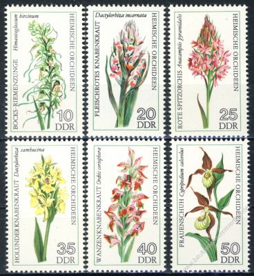 DDR 1976 Mi-Nr. 2135-2140 ** Heimische Orchideen