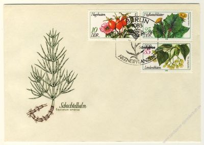 DDR 1978 FDC Mi-Nr. 2287-2292 SSt. Arzneipflanzen