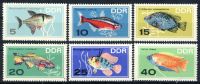 DDR 1966 Mi-Nr. 1221-1226 ** Zierfische